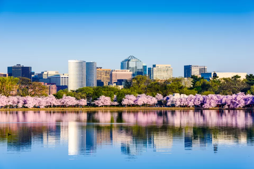 View across lake of Washington, D.C. office buildings with blooming cherry trees in front on lakeshore